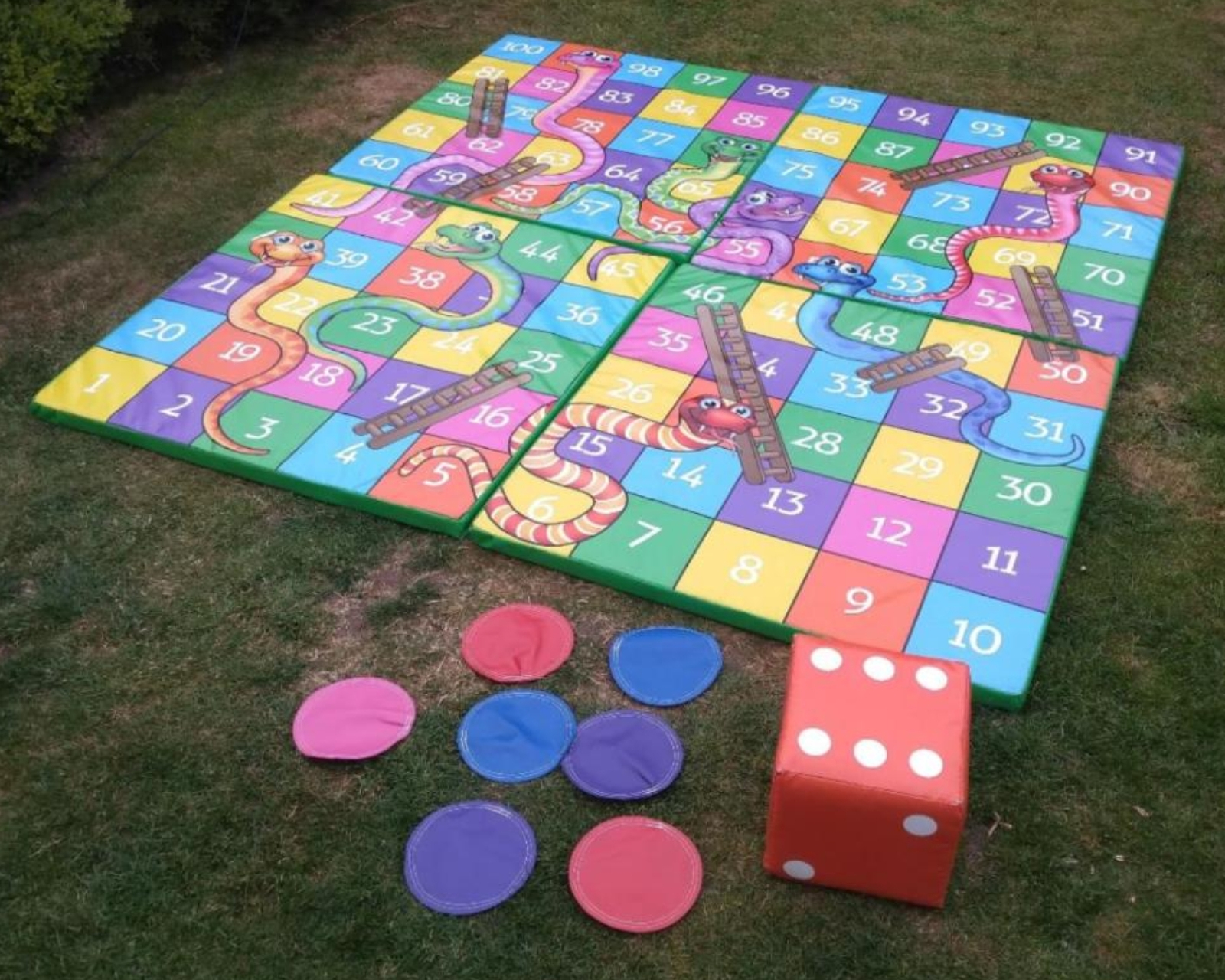 Deluxe Giant Snakes & Ladders Game