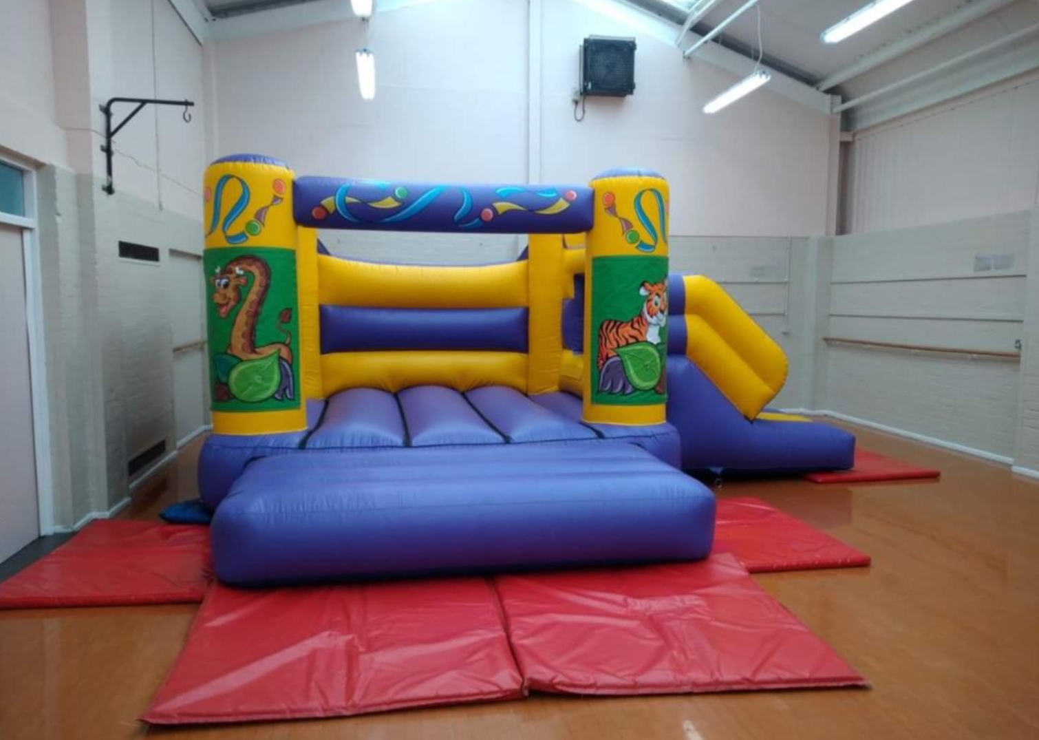 Indoor Only Castle Purple & Yellow With Side Slide Jungle